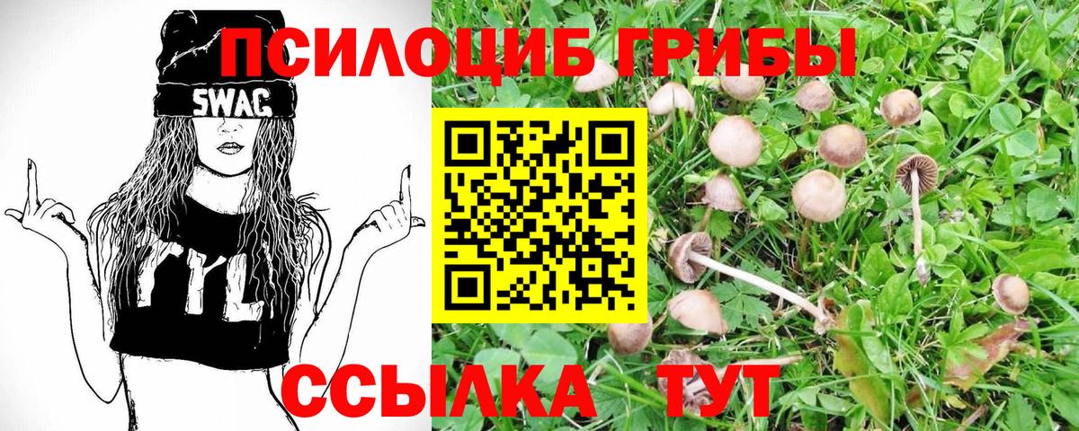 Галлюциногенные грибы мицелий Надым