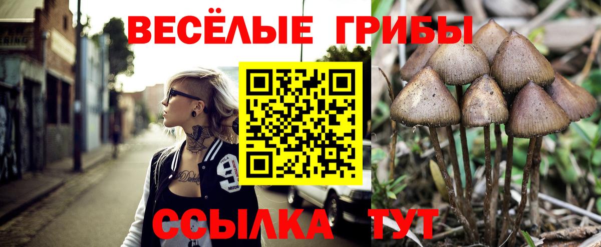 Надым  Галлюциногенные грибы Psilocybine cubensis  Вход с VPN 
